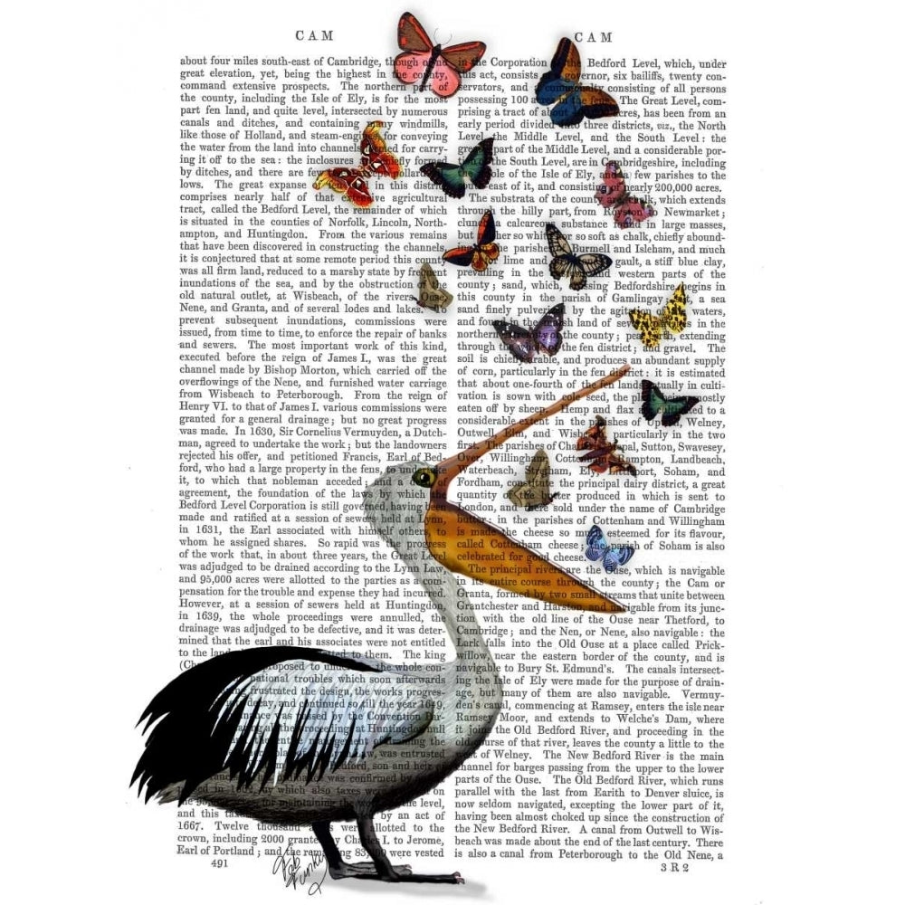 Pelican and Butterflies Poster Print - Funky Fab-VARPDX190004D Image 1