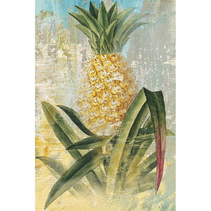 Botanical Pineapple Poster Print by Nan-VARPDX19001 Image 1