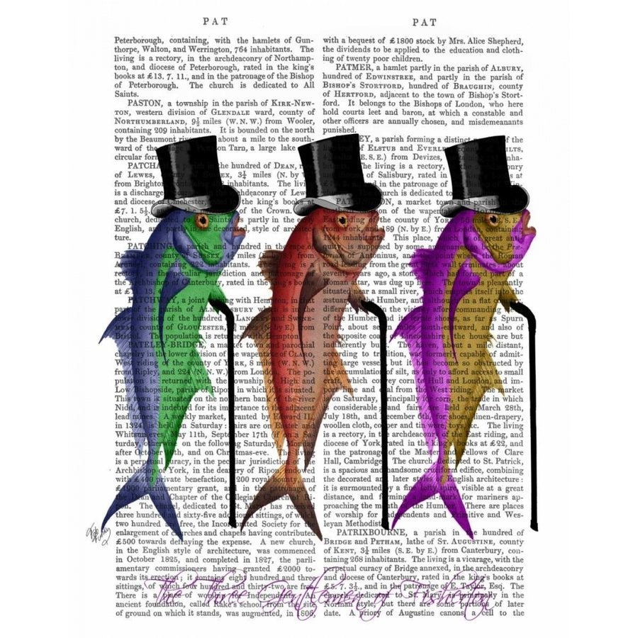 Gentleman of Fisherton Poster Print - Funky Fab-VARPDX190012D Image 1