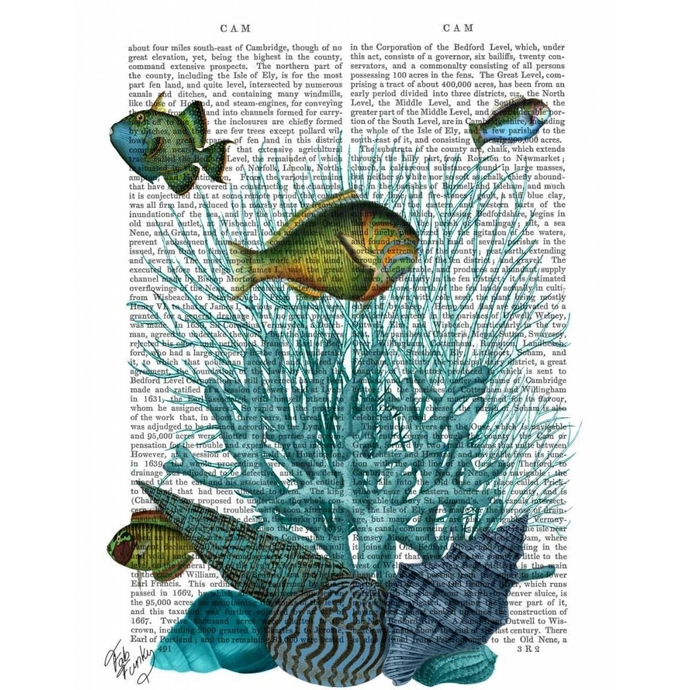 Fish Blue Shells and Corals Poster Print - Funky Fab-VARPDX190021D Image 1