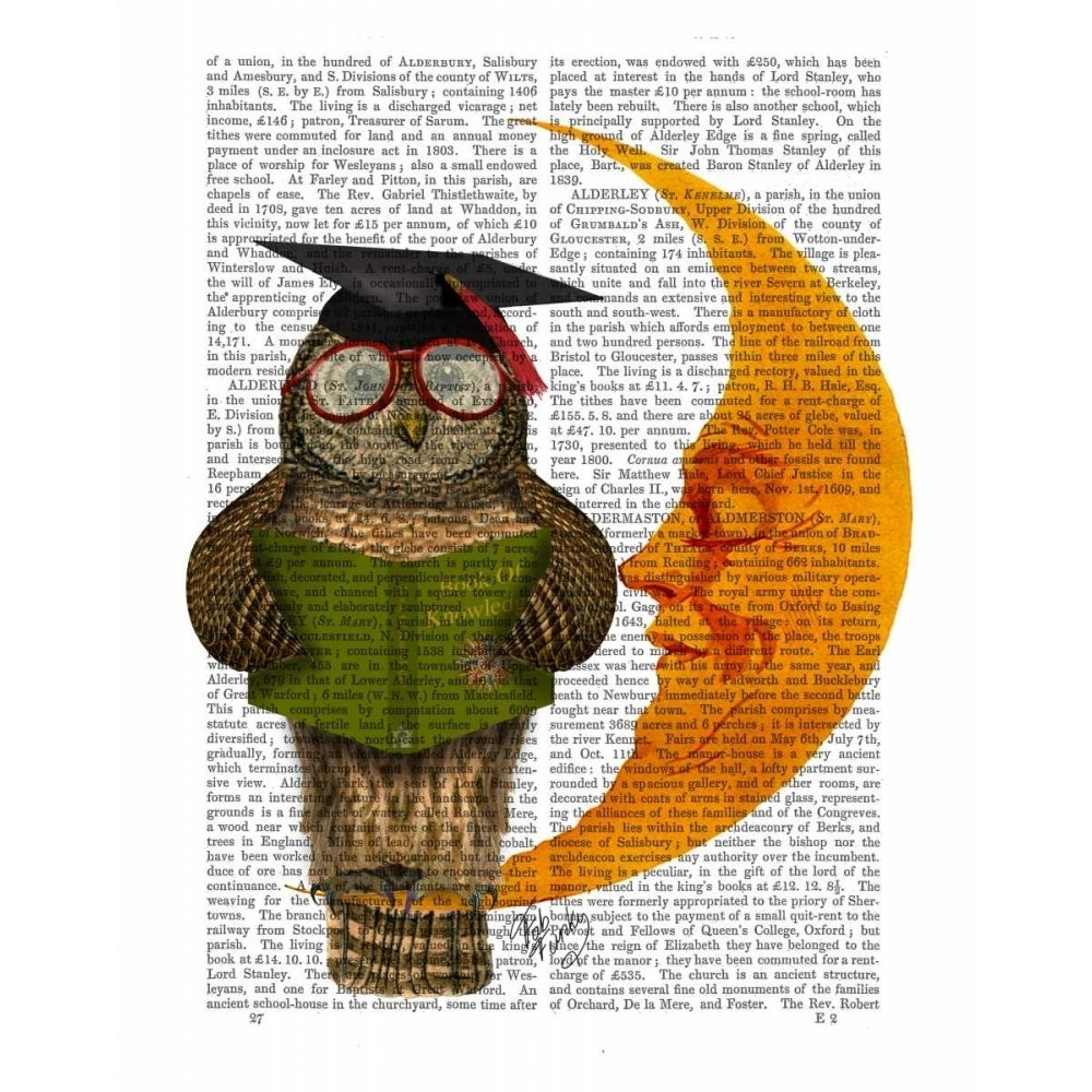 Owl On The Moon Poster Print - Funky Fab-VARPDX190039D Image 1