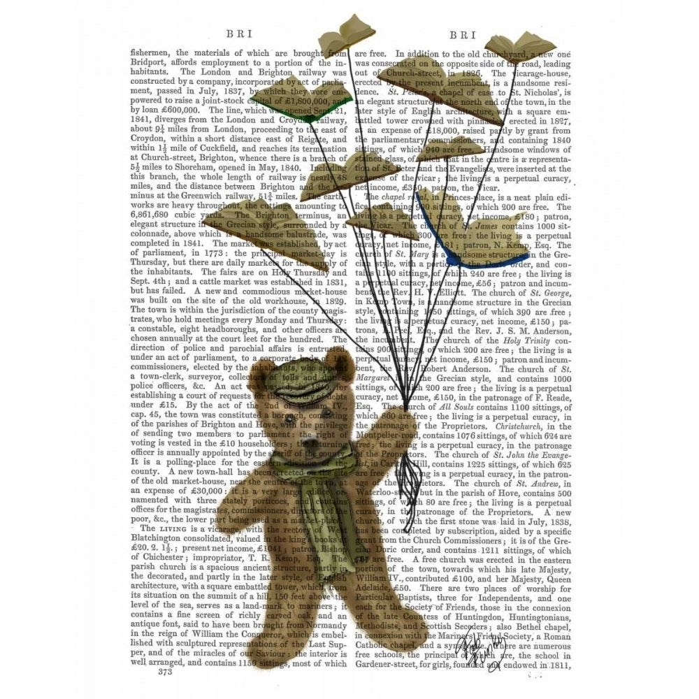 Bear with Book Butterflies Poster Print - Funky Fab-VARPDX190042D Image 1