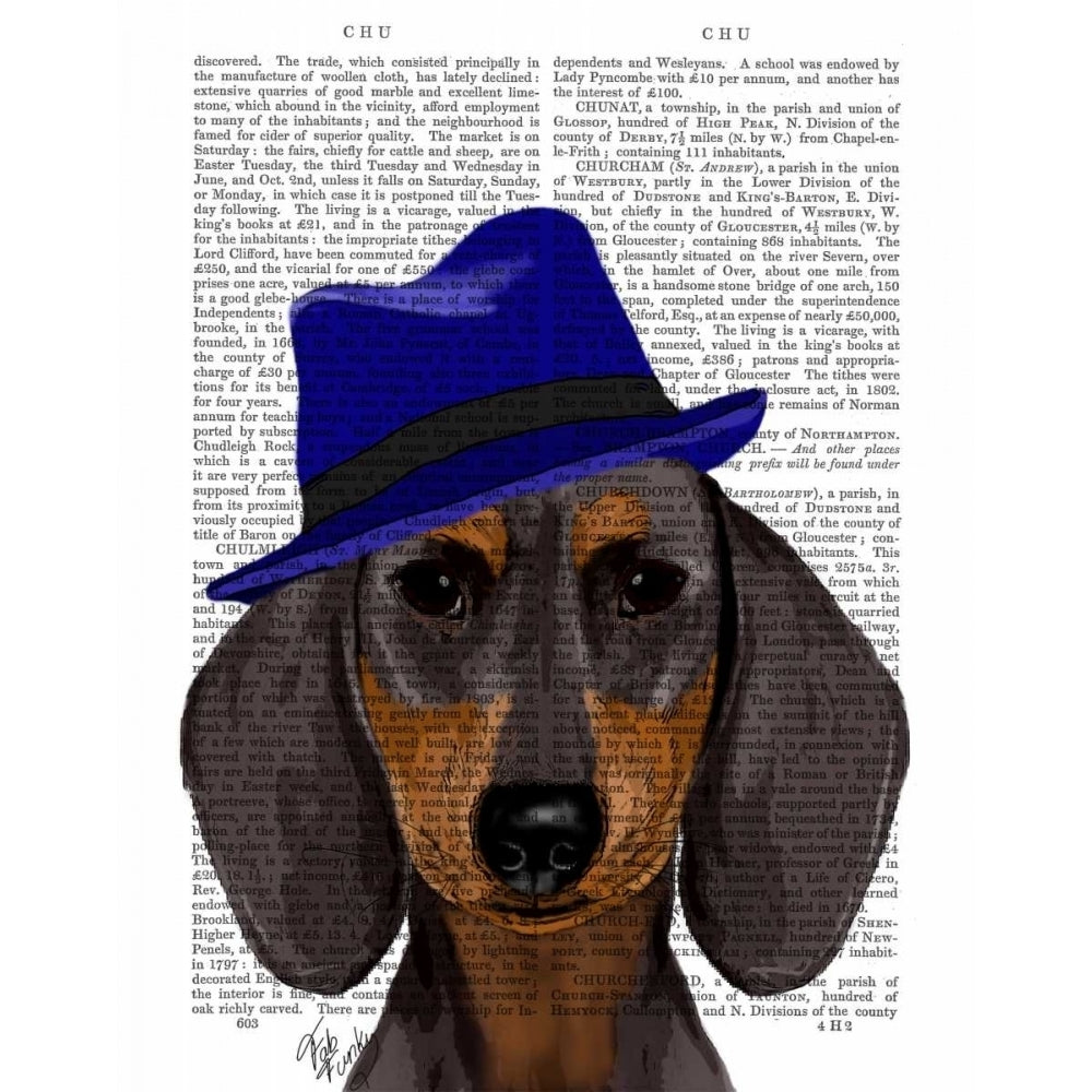 Dachshund With Blue Trilby Poster Print - Funky Fab-VARPDX190051D Image 1