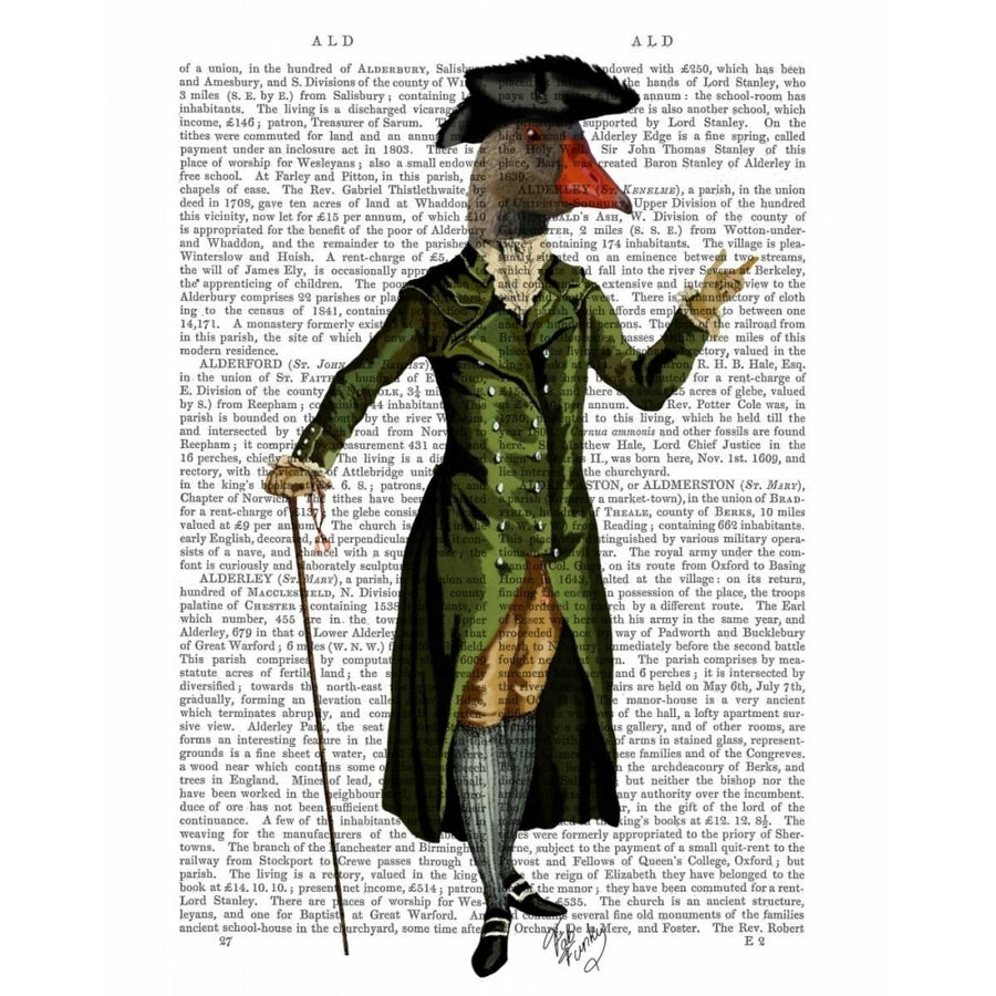 Goose in Green Regency Coat Poster Print - Funky Fab-VARPDX190074D Image 1