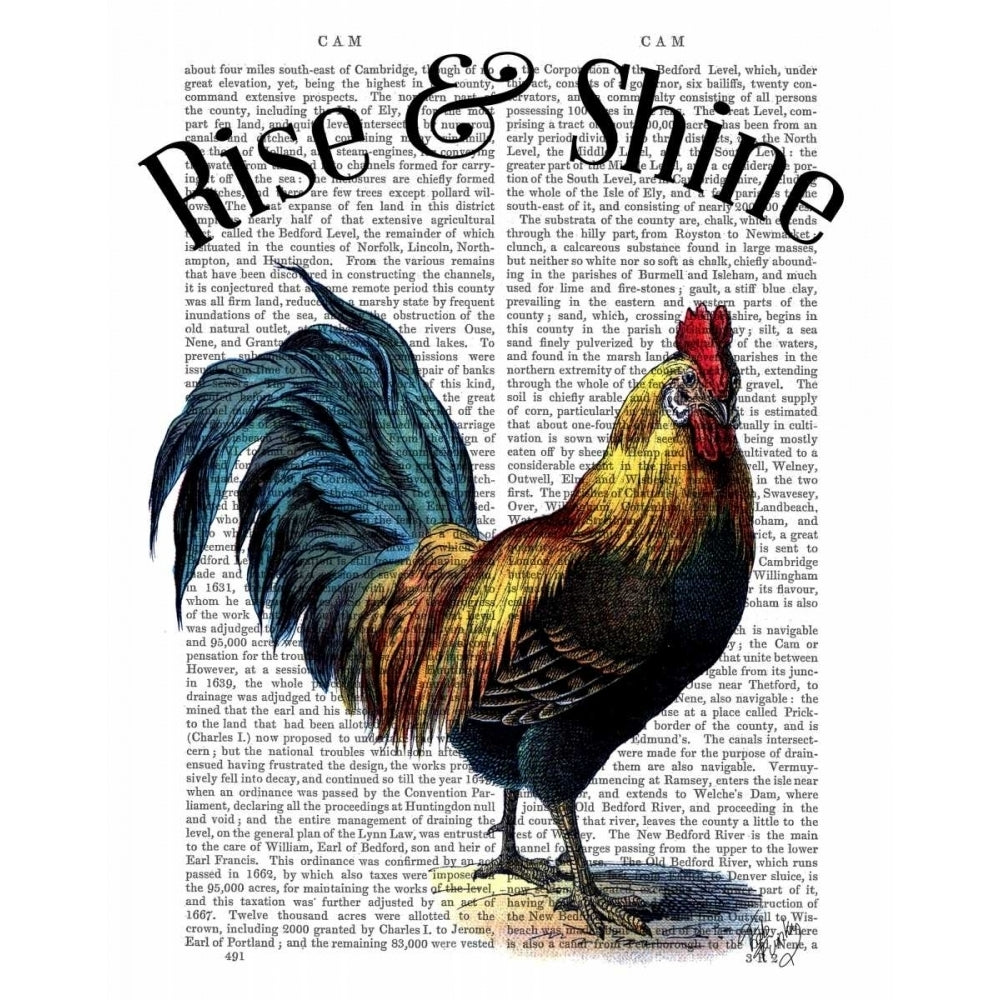 Rise and Shine Poster Print - Funky Fab-VARPDX190072D Image 1