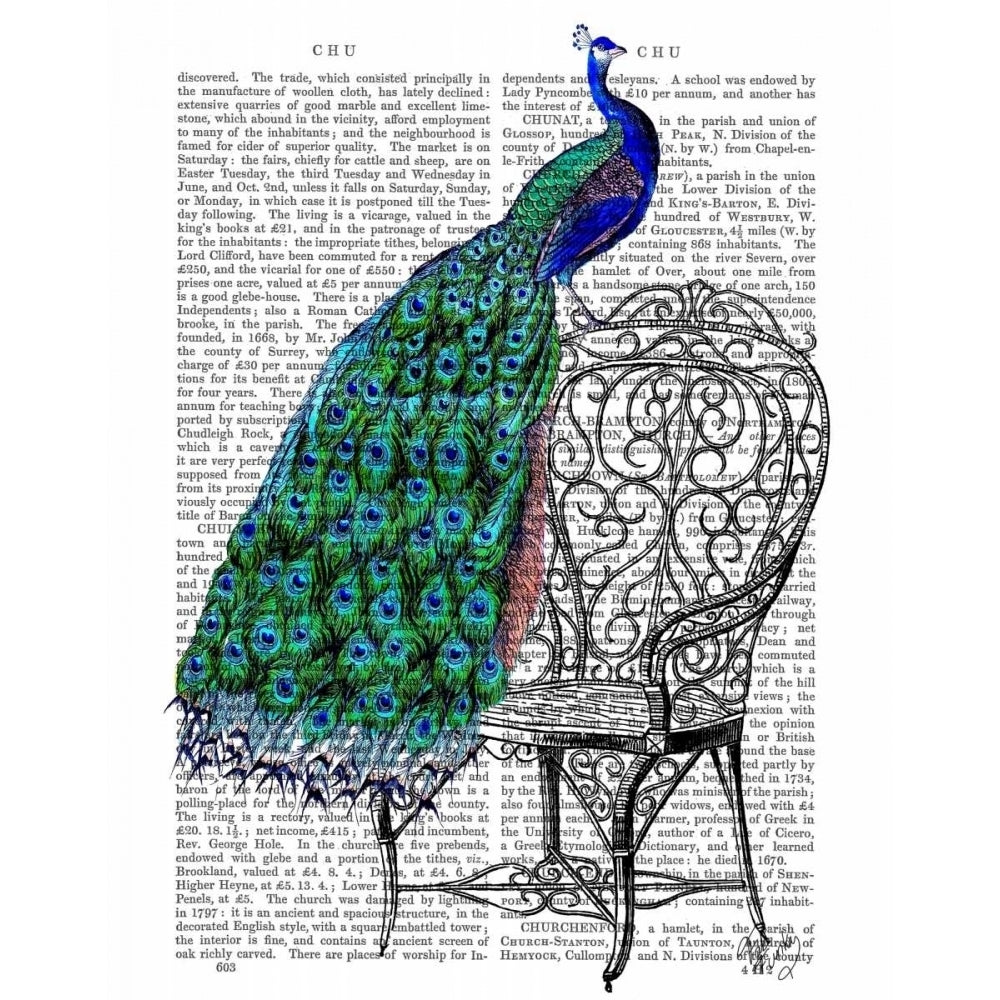 Peacock on Chair Poster Print - Funky Fab-VARPDX190083D Image 1