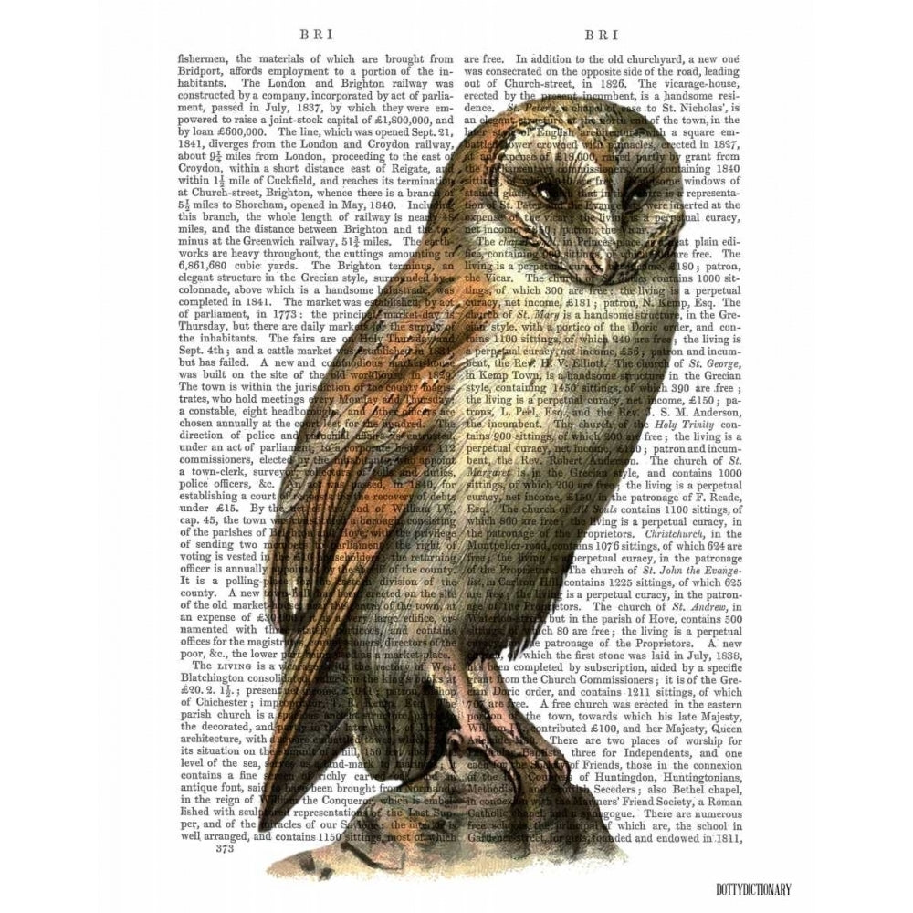 Barn Owl Poster Print - Funky Fab-VARPDX190089D Image 1