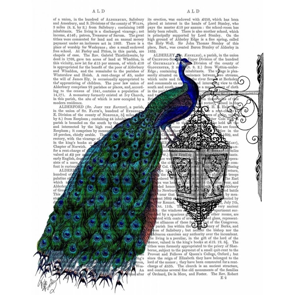 Peacock On Lamp Poster Print - Funky Fab-VARPDX190084D Image 1