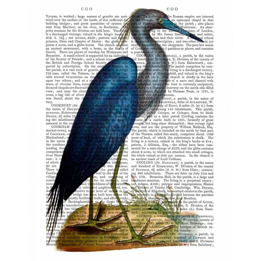 Blue Heron 2 Poster Print - Funky Fab-VARPDX190088D Image 1