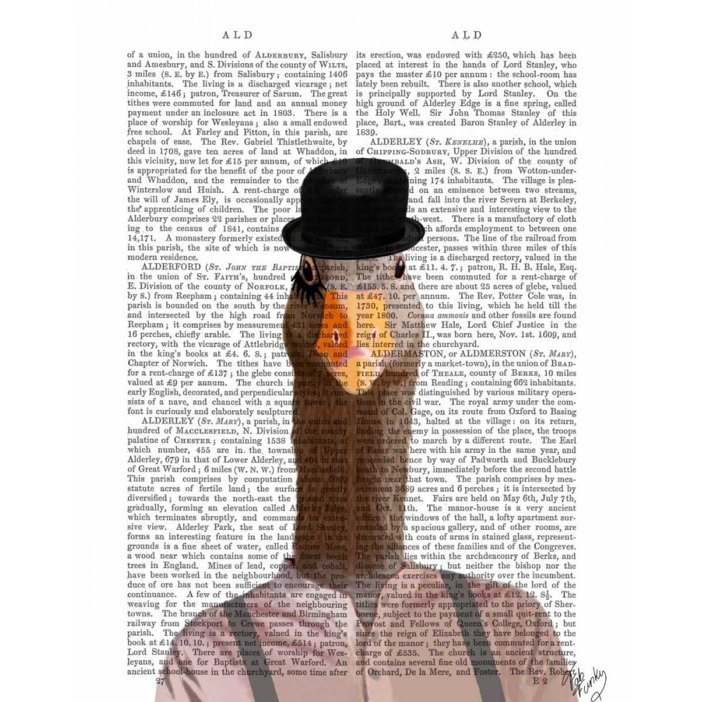 Clockwork Orange Goose Poster Print - Funky Fab-VARPDX190079D Image 1