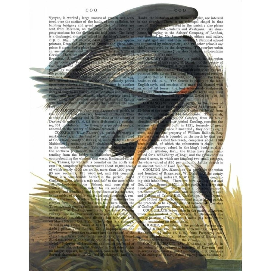 Blue Heron 1 Poster Print - Funky Fab-VARPDX190085D Image 1