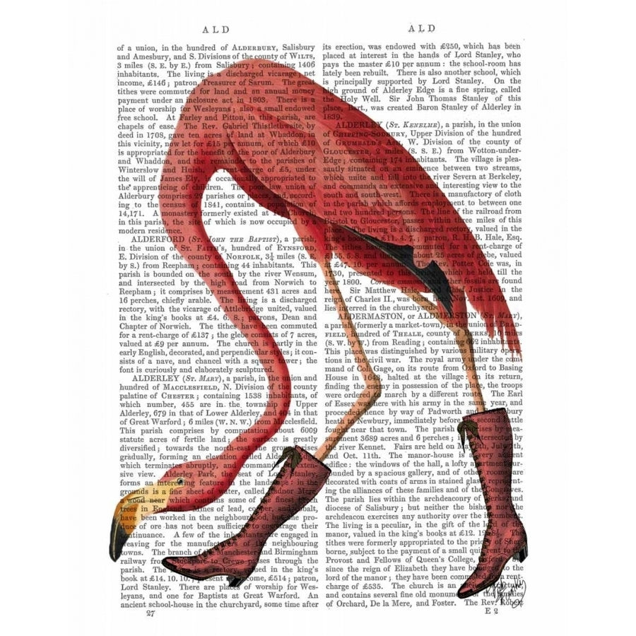 Flamingo in Pink Boots Poster Print - Funky Fab-VARPDX190090D Image 1