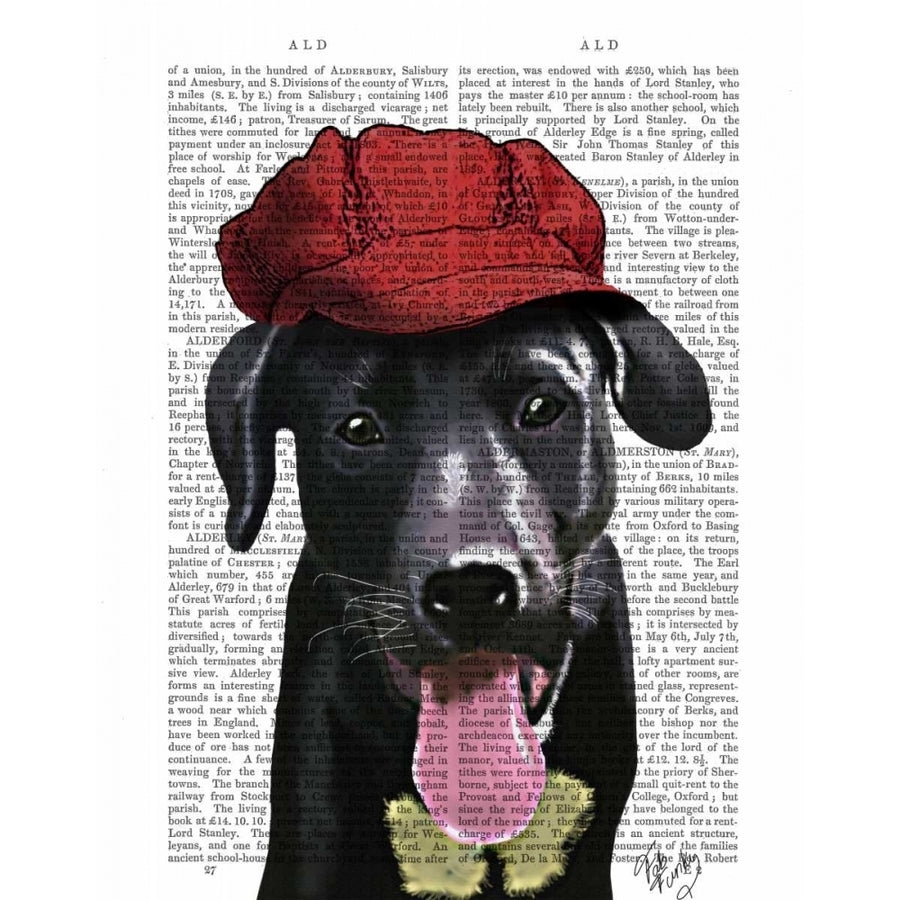 Black Labrador With Red Cap Poster Print - Funky Fab-VARPDX190105D Image 1