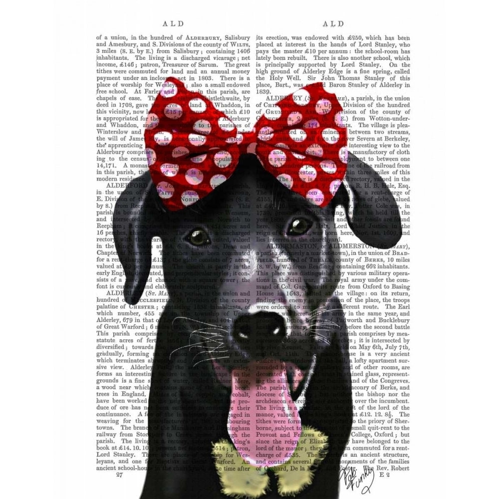 Black Labrador With Red Bow On Head Poster Print - Funky Fab-VARPDX190104D Image 1