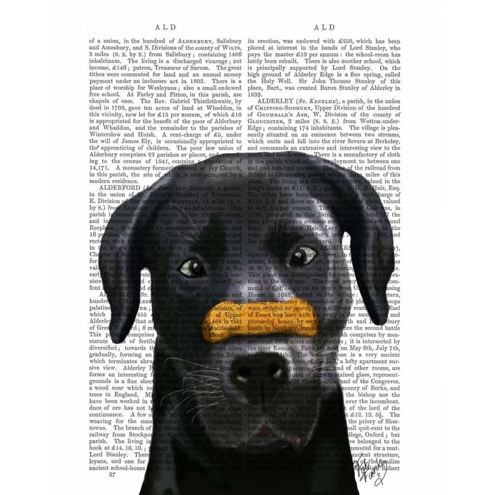 Black Labrador With Bone on Nose Poster Print - Funky Fab-VARPDX190109D Image 1