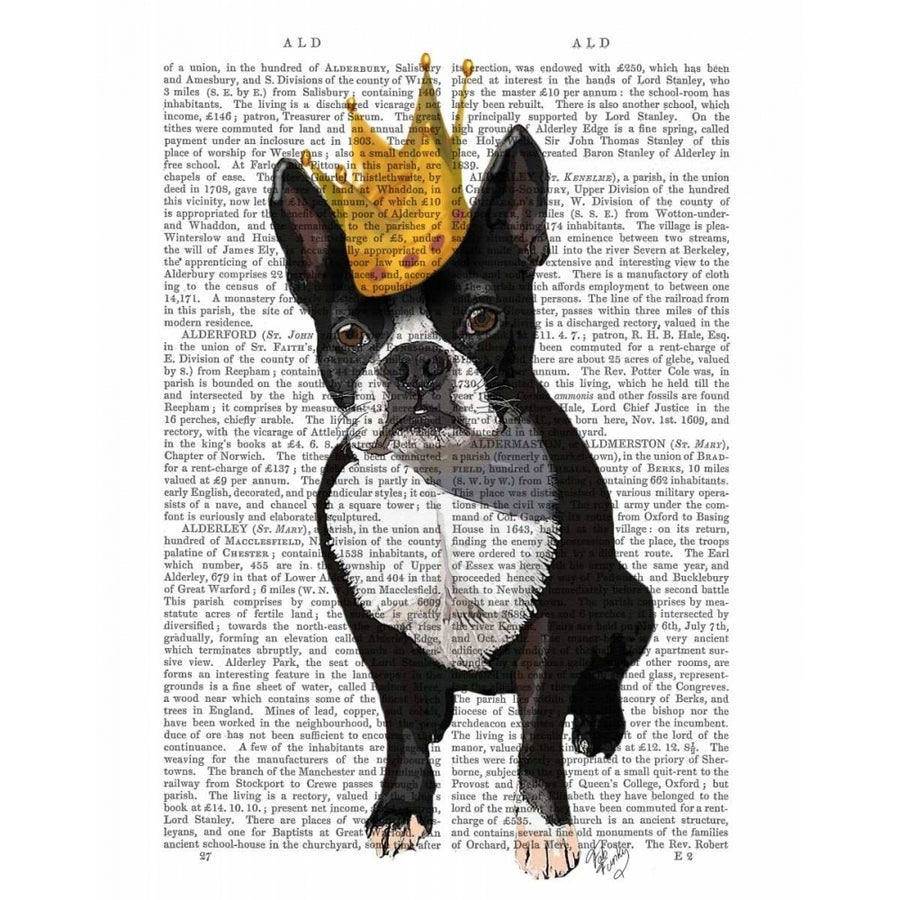 Boston Terrier And Crown Poster Print - Funky Fab-VARPDX190135D Image 1