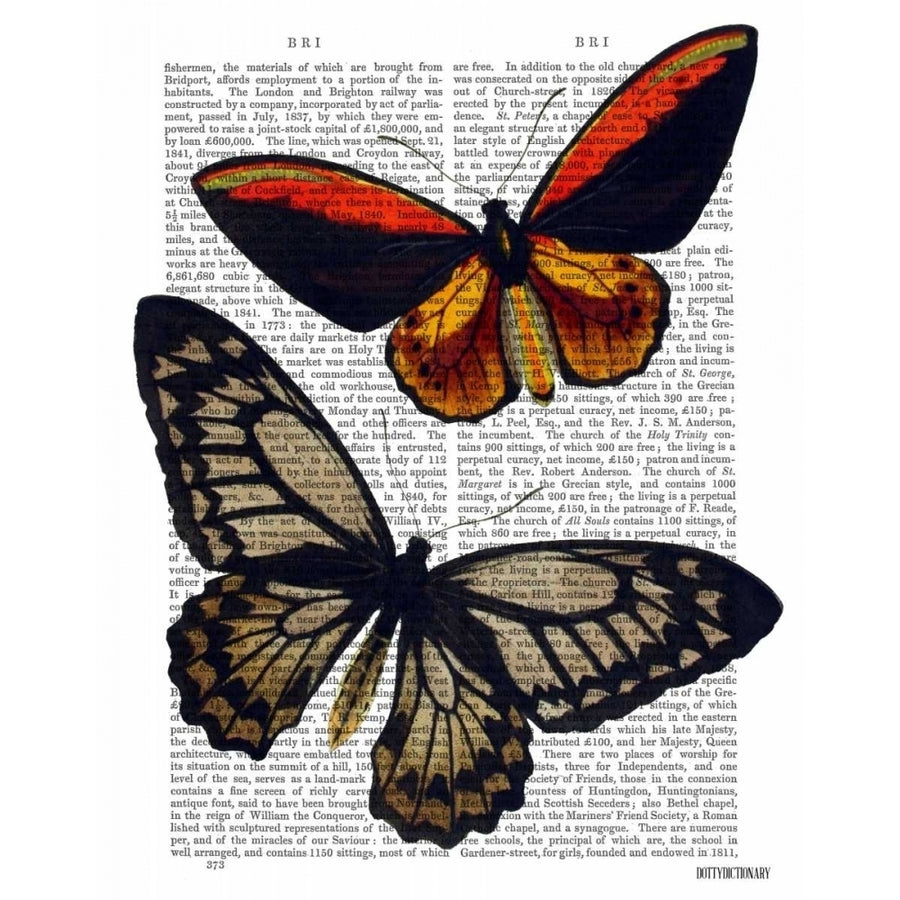 Butterflies 2 Poster Print - Funky Fab-VARPDX190127D Image 1