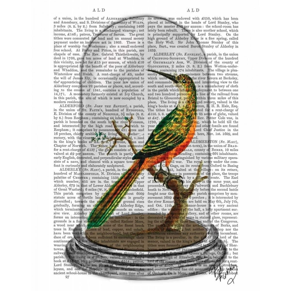 Bird In Bell Jar Poster Print - Funky Fab-VARPDX190146D Image 1