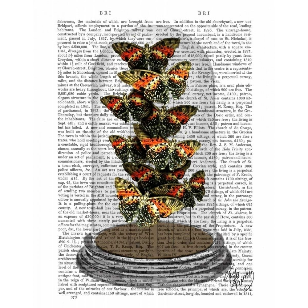 Multicoloured Butterflies in Bell Jar Poster Print - Funky Fab-VARPDX190145D Image 1