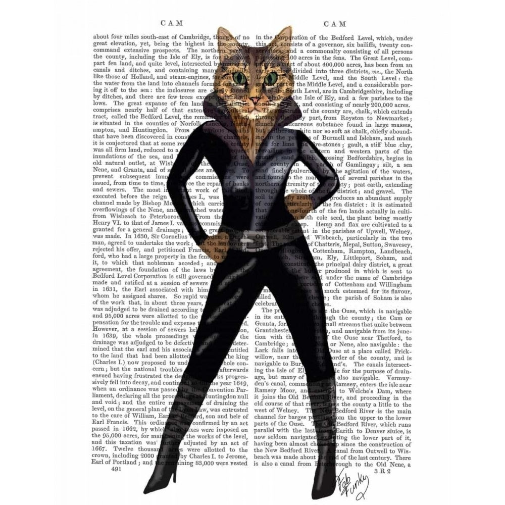 Catwoman Poster Print - Funky Fab-VARPDX190155D Image 1