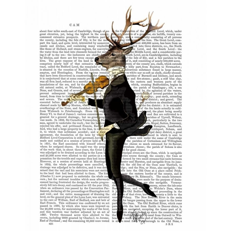 Dancing Deer with Violin Poster Print - Funky Fab-VARPDX190167D Image 1