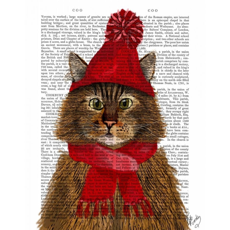 Maine Coon Cat Poster Print - Funky Fab-VARPDX190156D Image 1