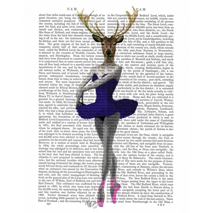 Ballet Deer in Blue Poster Print - Funky Fab-VARPDX190168D Image 1