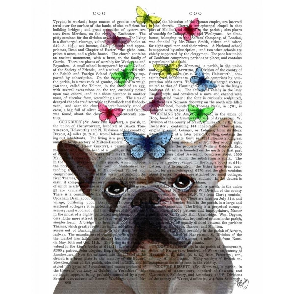 White French Bulldog and Butterflies Poster Print - Funky Fab-VARPDX190209D Image 1