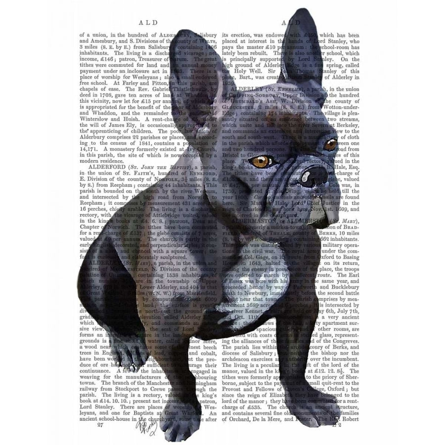 French Bulldog Plain Poster Print - Funky Fab-VARPDX190210D Image 1