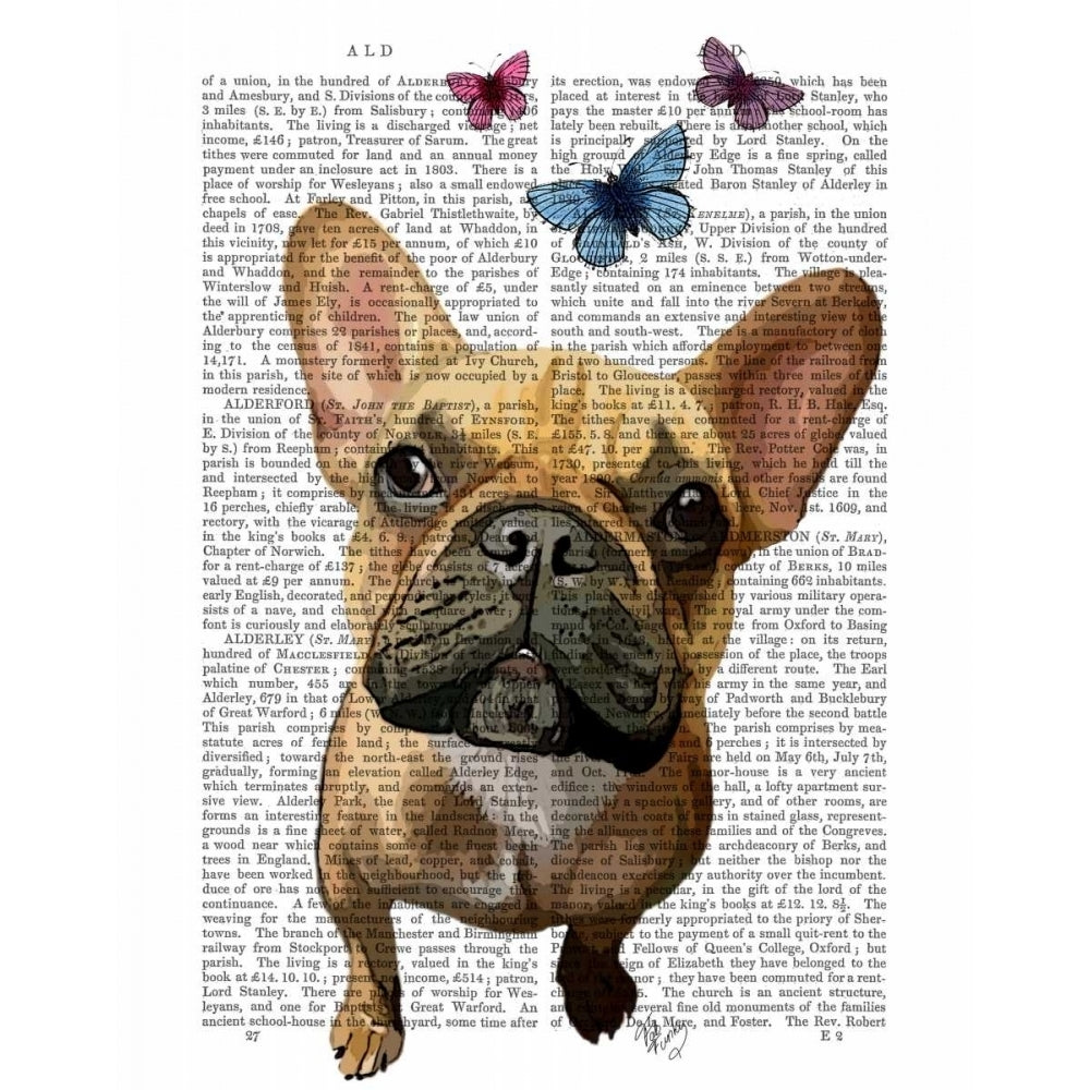 Brown French Bulldog and Butterflies Poster Print - Funky Fab-VARPDX190213D Image 1