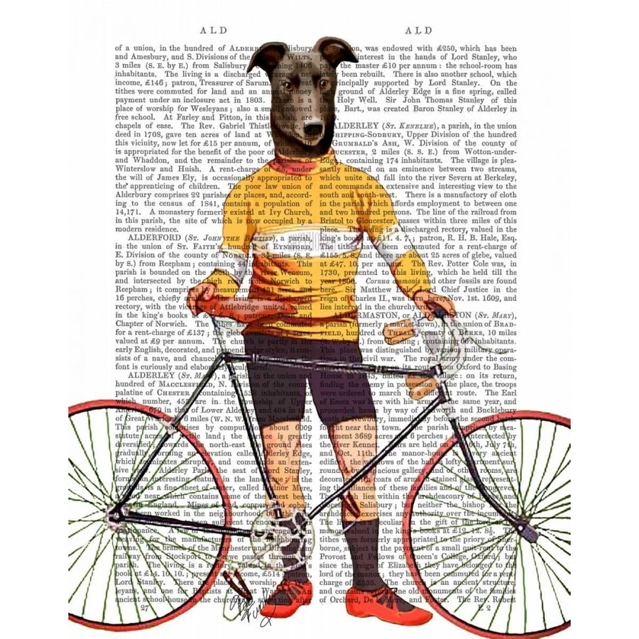 Greyhound Cyclist Poster Print - Funky Fab-VARPDX190219D Image 1