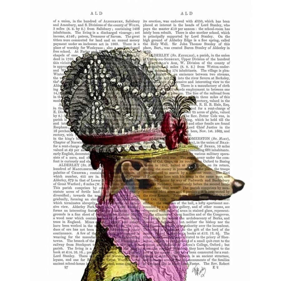 Greyhound in 16th Century Hat Poster Print - Funky Fab-VARPDX190237D Image 1