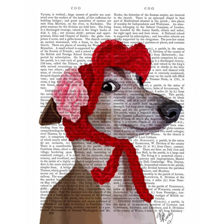 Greyhound with Red Woolly Hat Poster Print - Funky Fab-VARPDX190246D Image 1