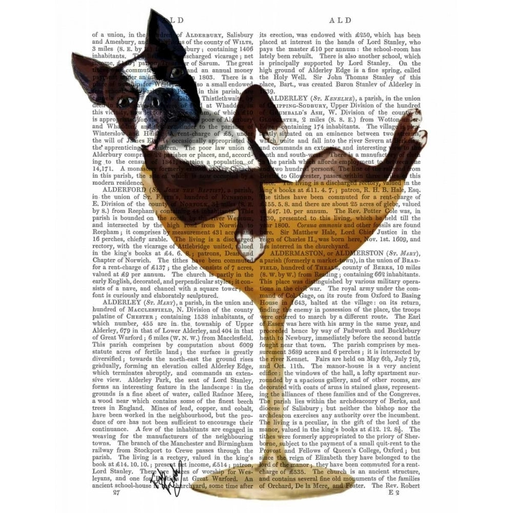 Boston Terrier in Cocktail Glass Poster Print - Funky Fab-VARPDX190266D Image 1