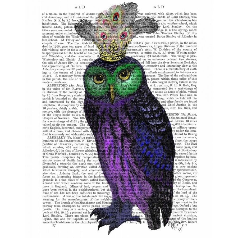 Purple Owl Poster Print - Funky Fab-VARPDX190276D Image 1