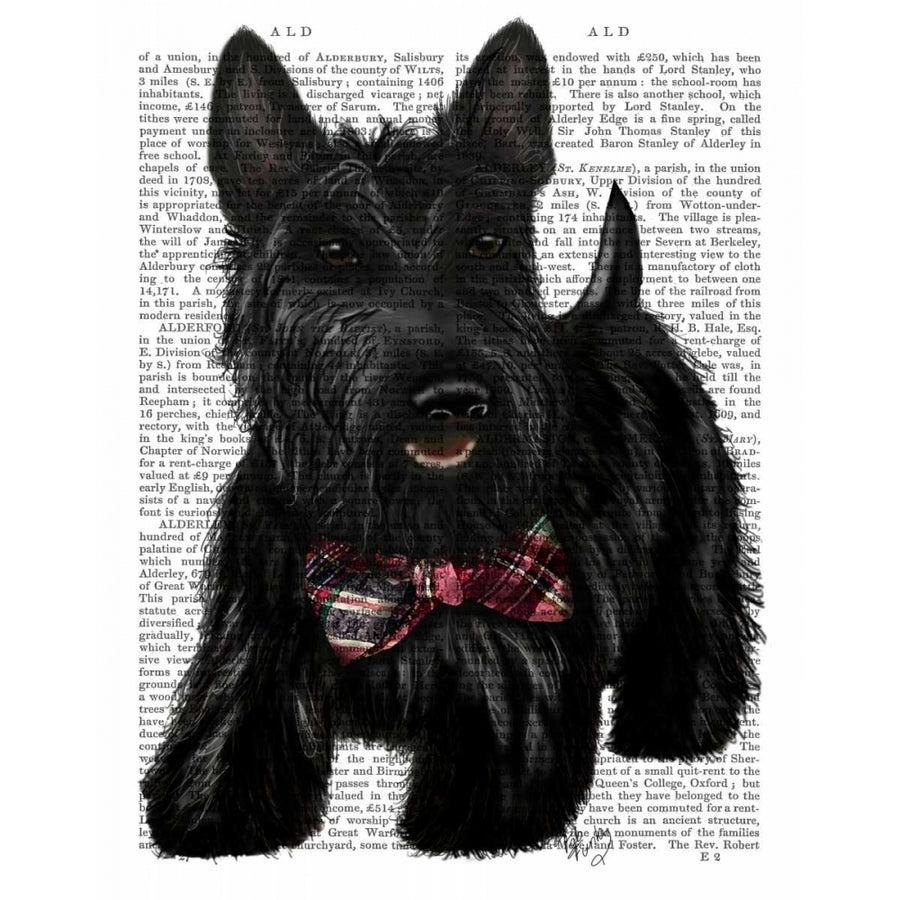 Scottish Terrier and Bow Poster Print - Funky Fab-VARPDX190263D Image 1