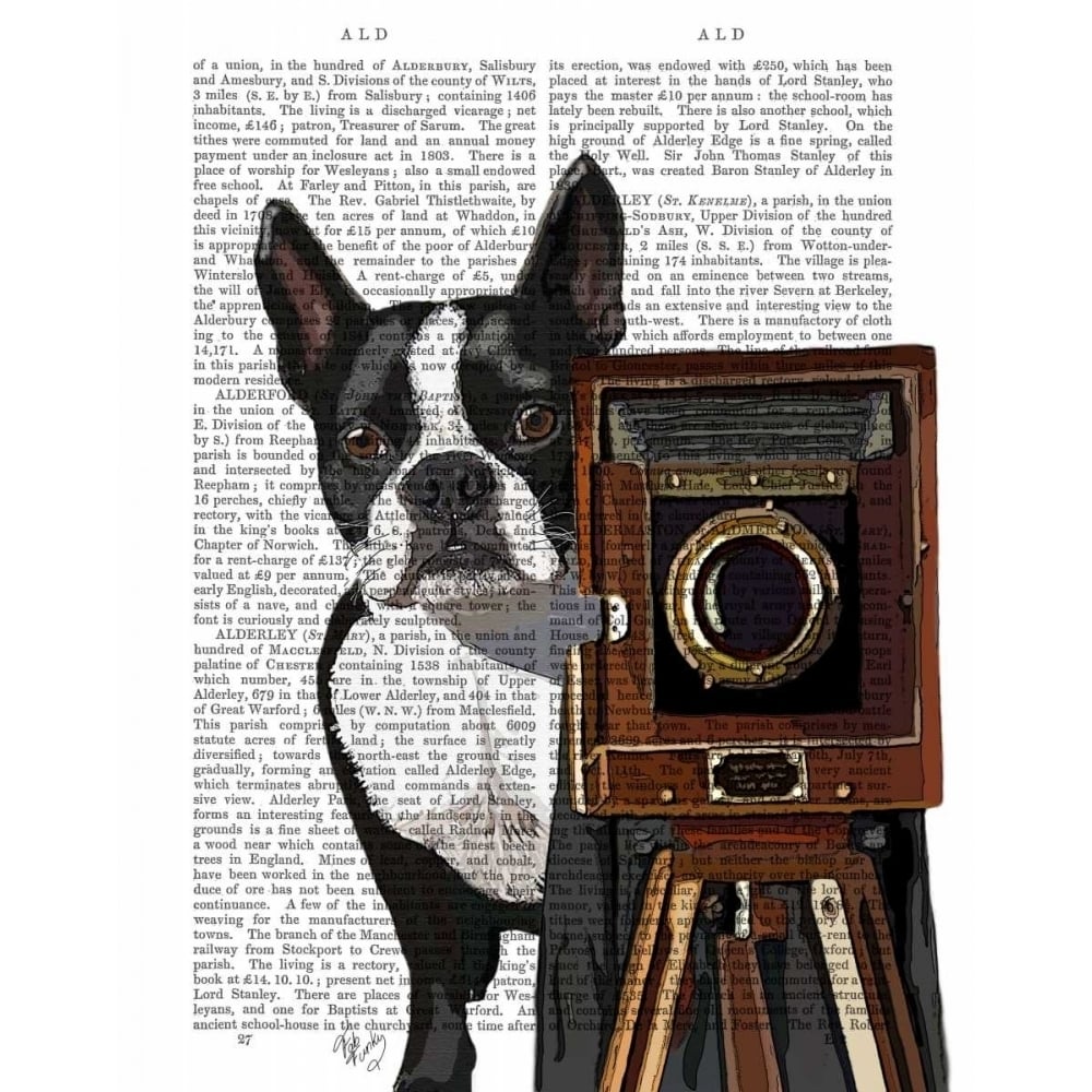 Boston Terrier Photographer Poster Print - Funky Fab-VARPDX190267D Image 1