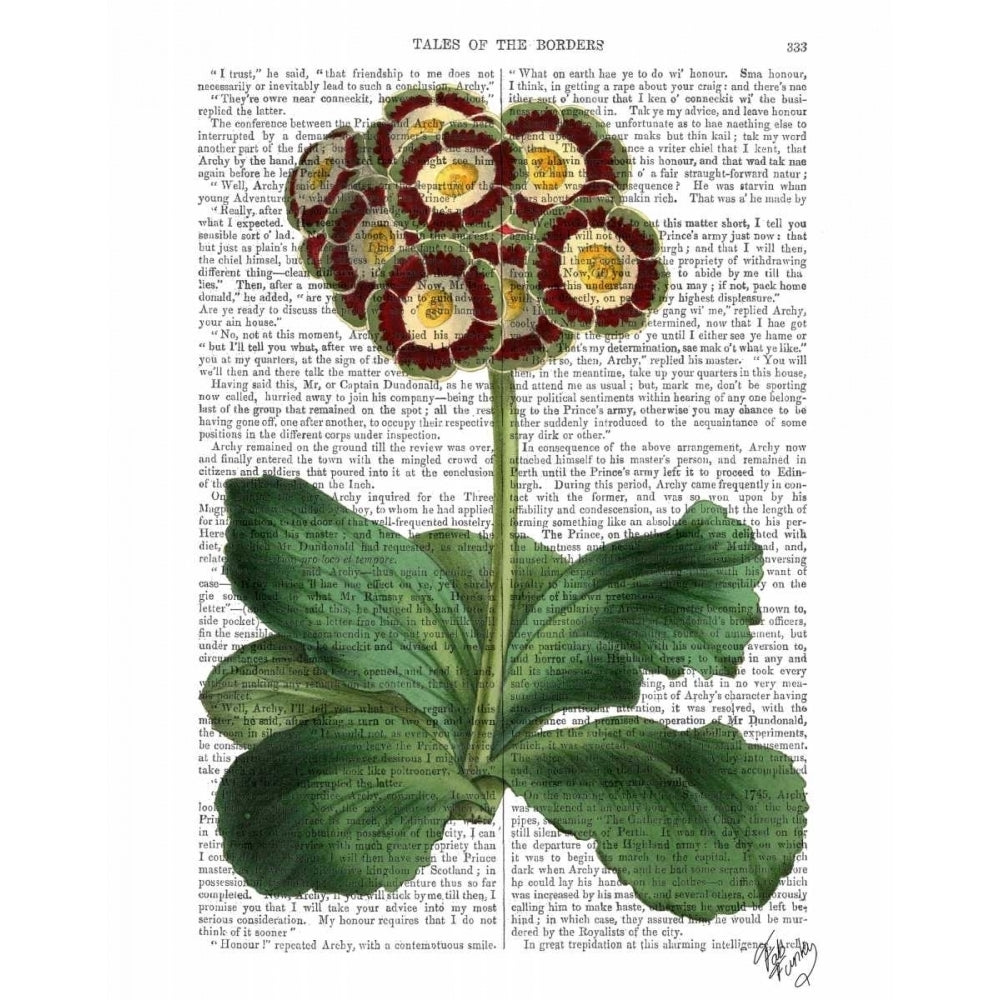 Primula Auricula Red Poster Print - Funky Fab-VARPDX190302D Image 1