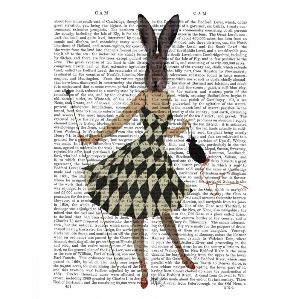 Rabbit in Black White Dress Poster Print - Funky Fab-VARPDX190333D Image 1