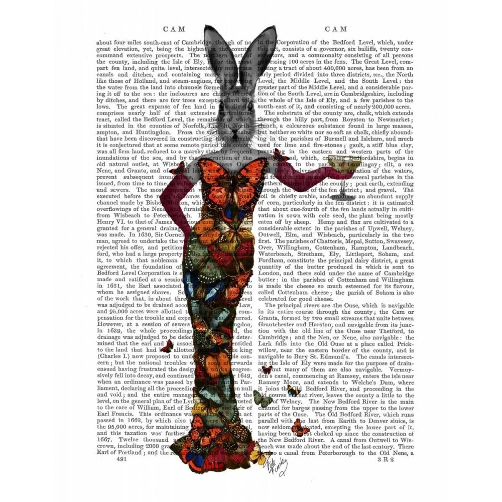 Rabbit Butterfly Dress Poster Print - Funky Fab-VARPDX190337D Image 1