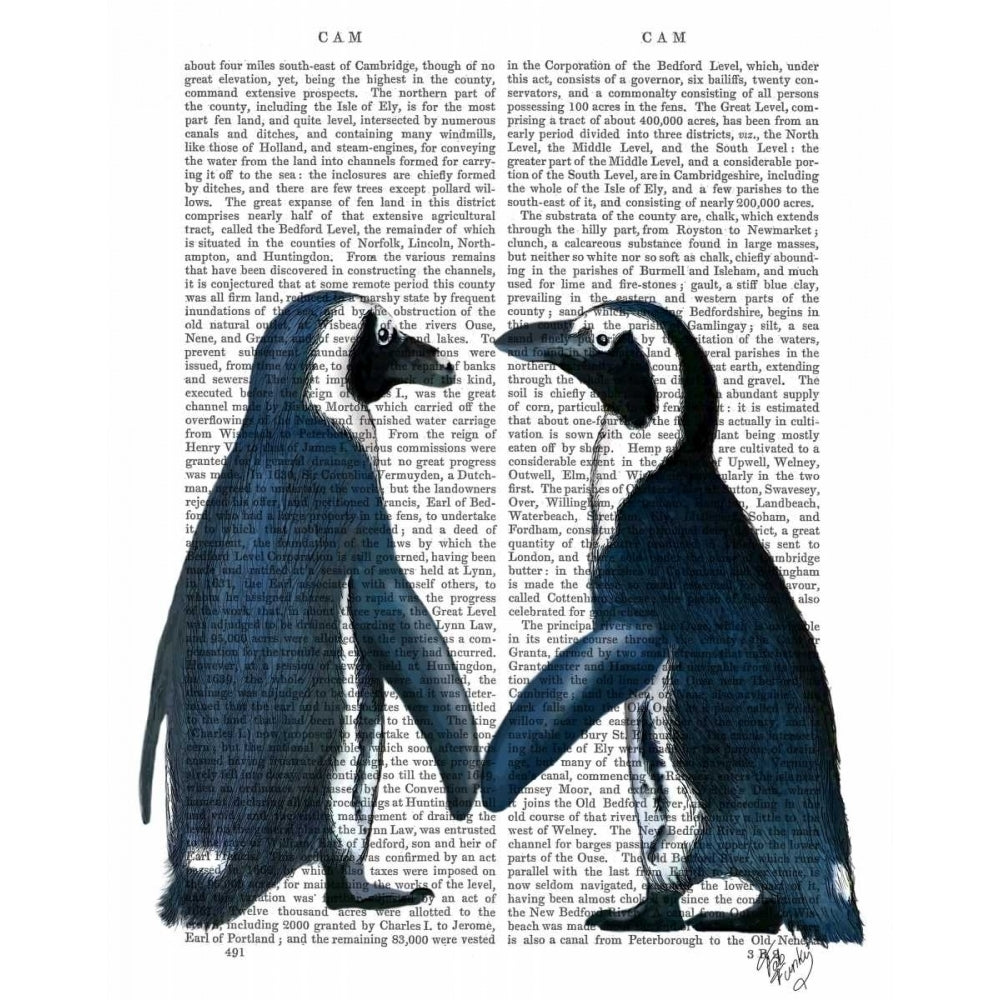 Penguins in Love Poster Print - Funky Fab-VARPDX190340D Image 1