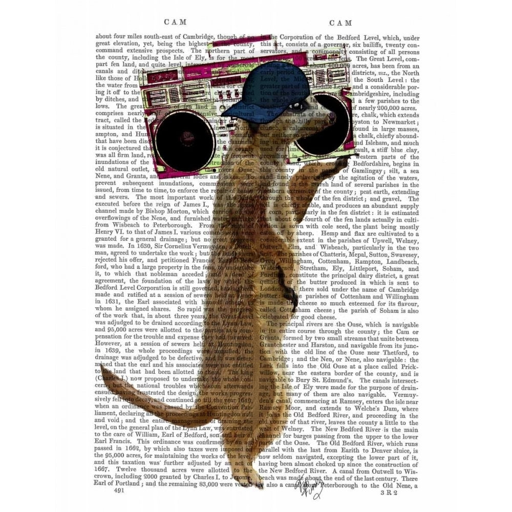 Meerkat with Boom Box Ghetto Blaster Poster Print - Funky Fab-VARPDX190371D Image 1