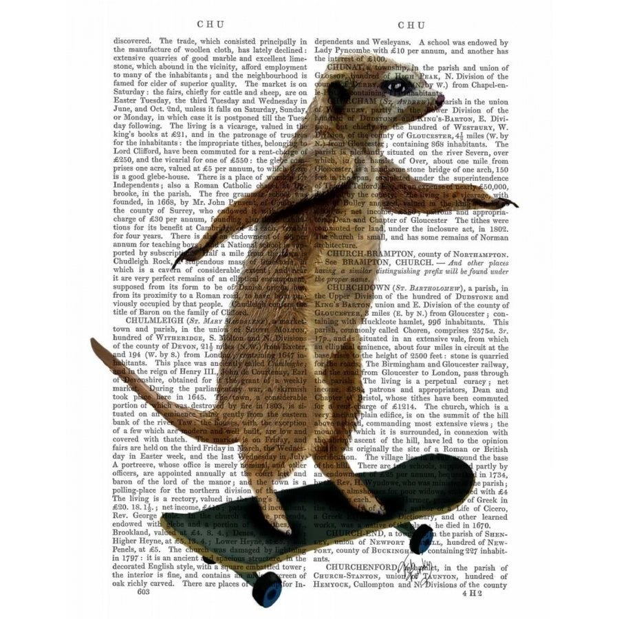 Meerkat On Skateboard Poster Print - Funky Fab-VARPDX190375D Image 1