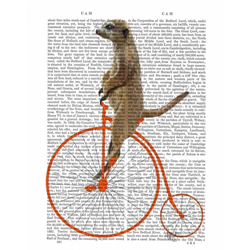 Meerkat on Orange Penny Farthing Poster Print - Funky Fab-VARPDX190372D Image 1