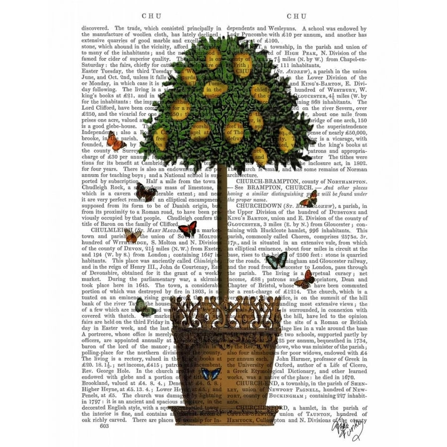 Lemon Tree Poster Print - Funky Fab-VARPDX190384D Image 1