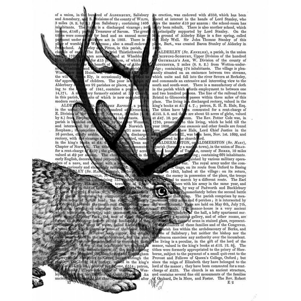 Jackalope Portrait 2 Poster Print - Funky Fab-VARPDX190396D Image 1