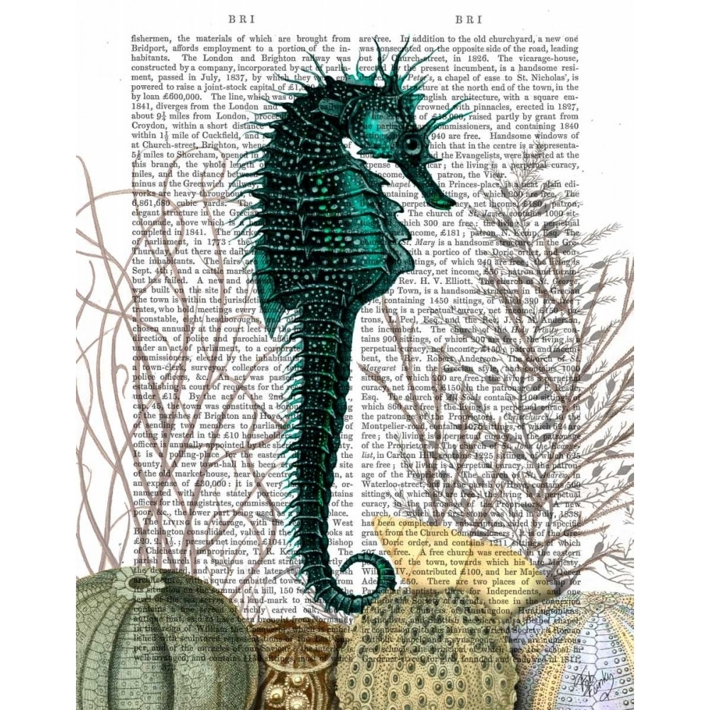 SeaHorse and Sea Urchins Poster Print - Funky Fab-VARPDX190410D Image 1