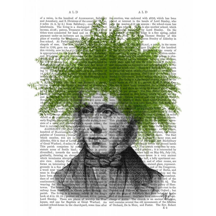 Asparagus Fern Head Plant Head Poster Print - Funky Fab-VARPDX190434D Image 1