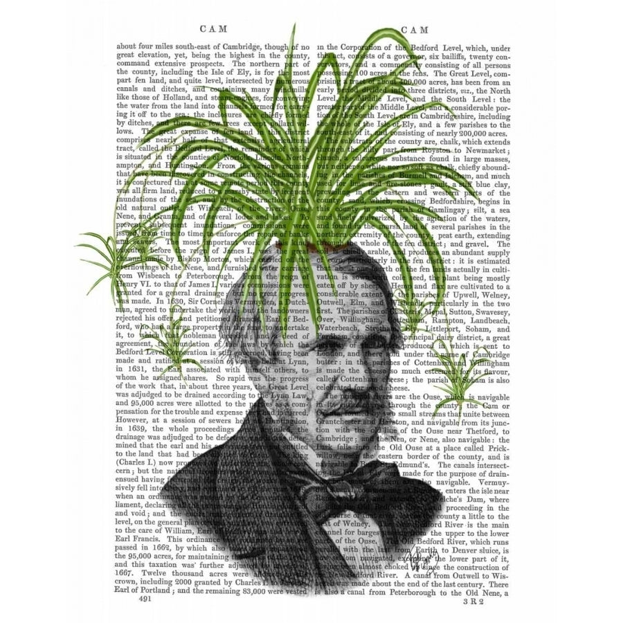 Spider Plant Head Poster Print - Funky Fab-VARPDX190437D Image 1