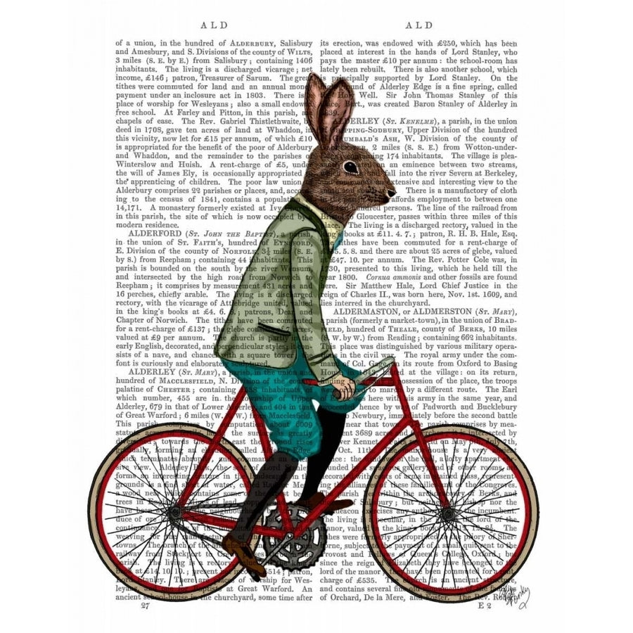 Rabbit On Bike Poster Print - Funky Fab-VARPDX190442D Image 1